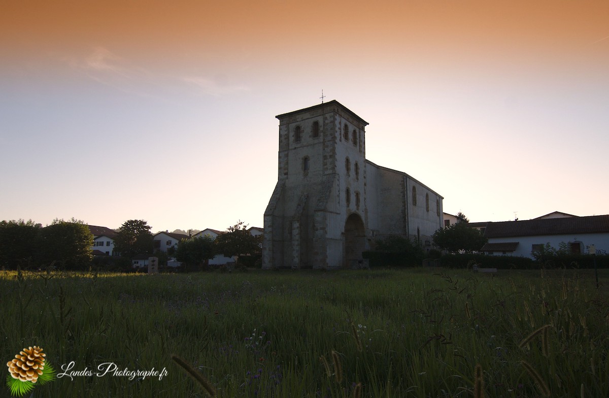 🏞️ Reportage au Cœur du Labourd : Saint-Pée-sur-Nivelle
