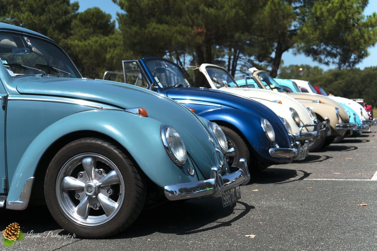 🚗 Le 34ème Cox Troc des Landes à Vieux-Boucau