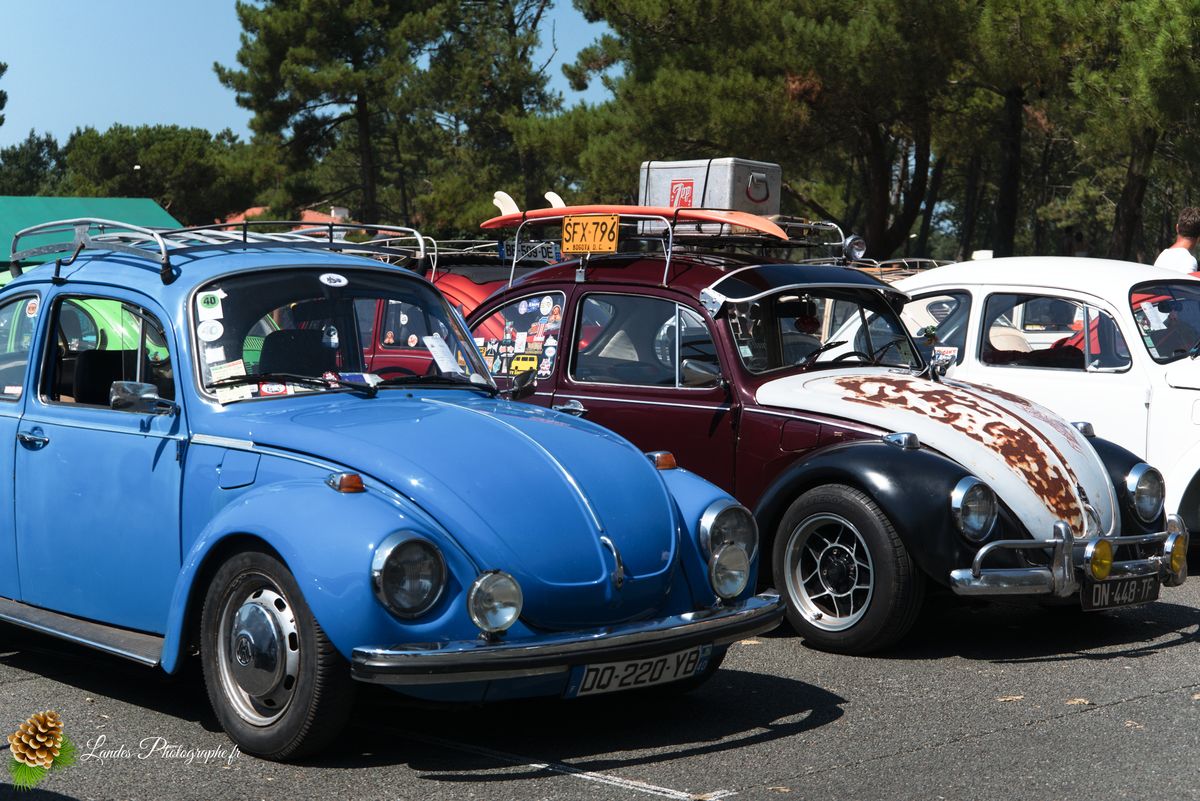🚗 Le 34ème Cox Troc des Landes à Vieux-Boucau