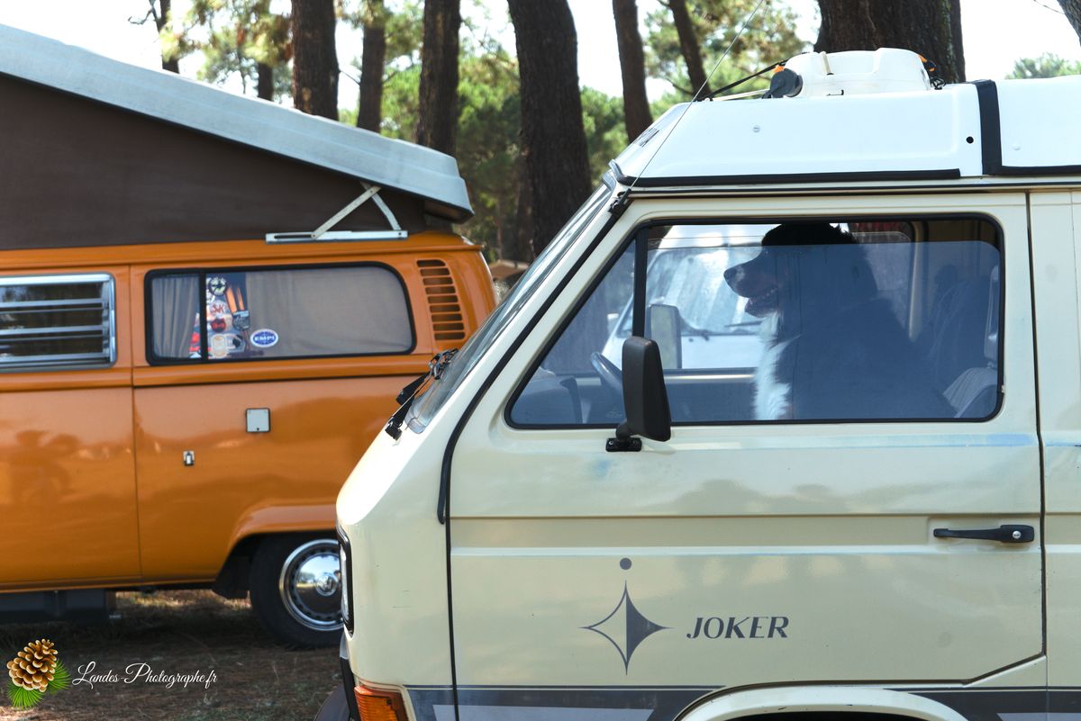 🚗 Le 34ème Cox Troc des Landes à Vieux-Boucau
