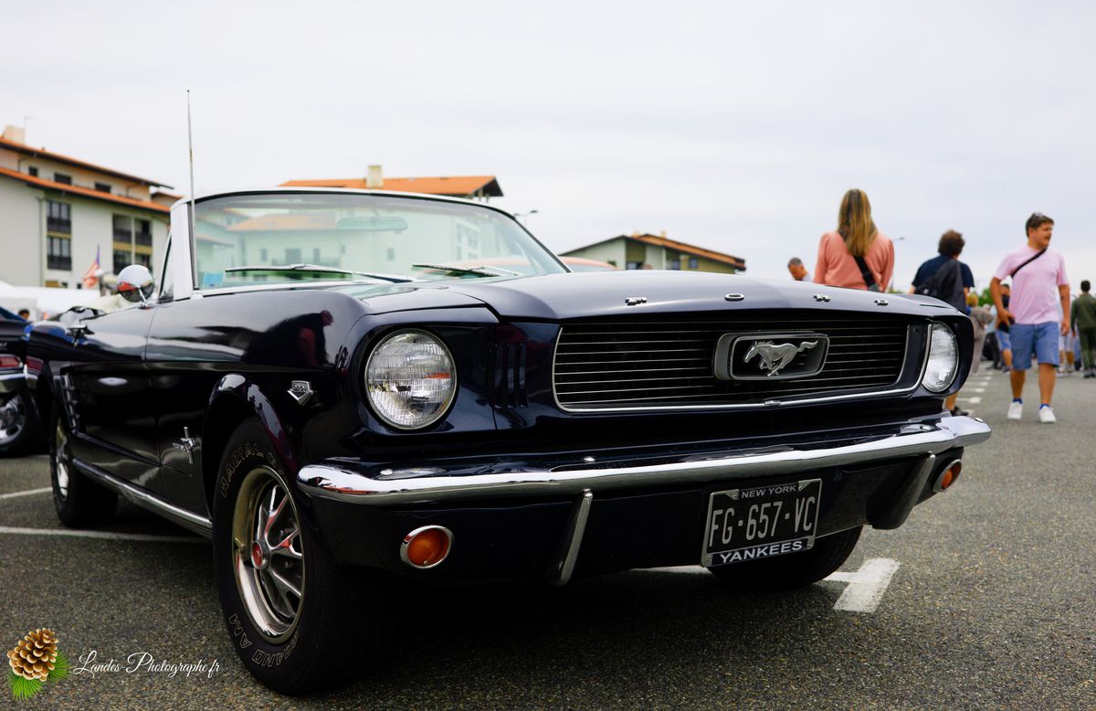 🎸 American Crazy Week 2026 : V8, Chrome et Esprit Californien à Seignosse