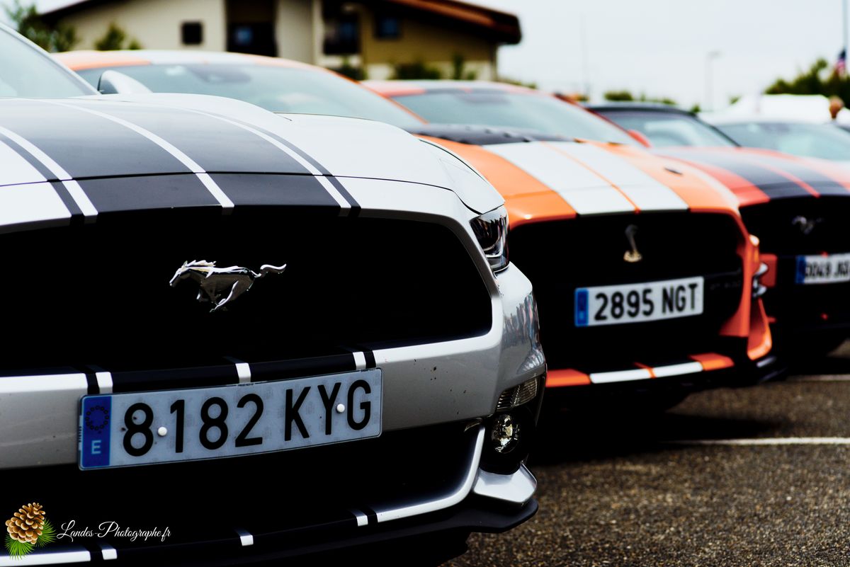 🎸 American Crazy Week 2026 : V8, Chrome et Esprit Californien à Seignosse