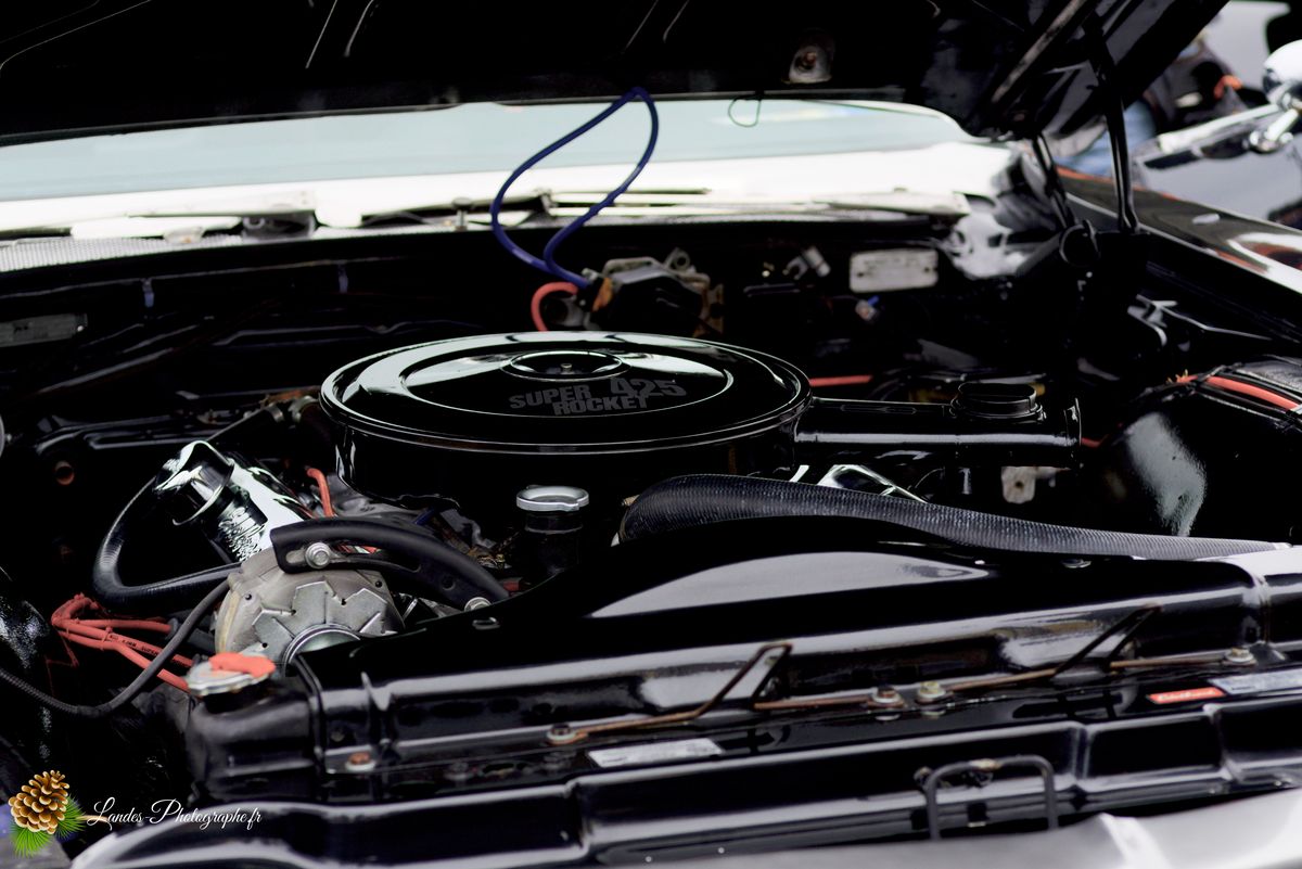 🎸 American Crazy Week 2026 : V8, Chrome et Esprit Californien à Seignosse