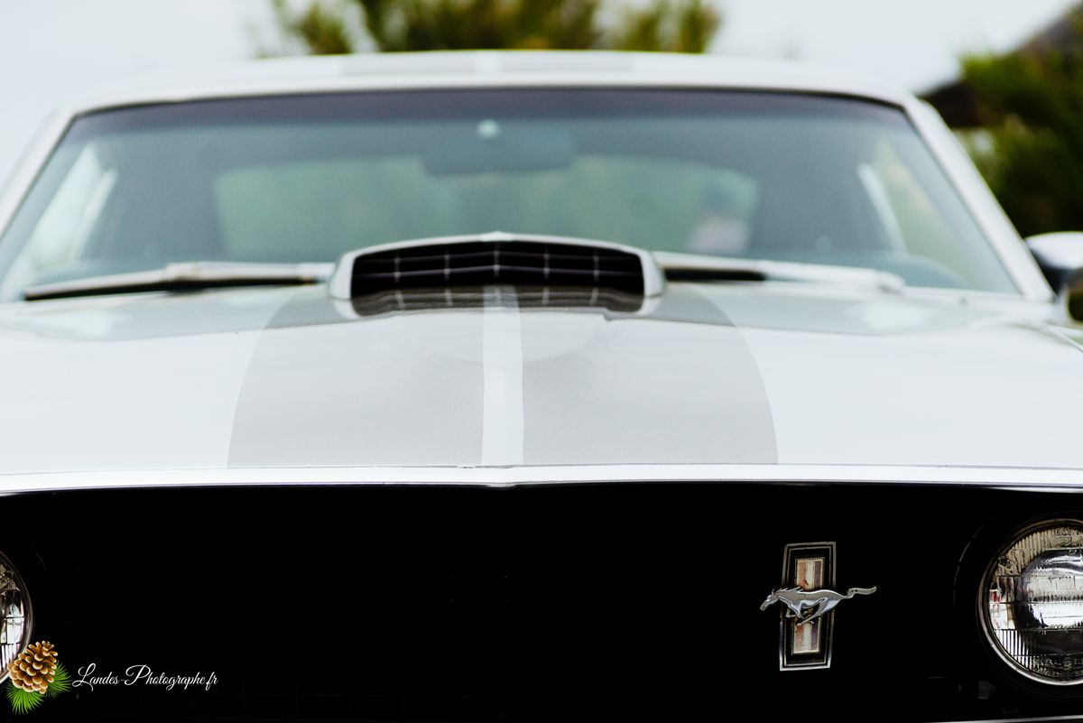 🎸 American Crazy Week 2026 : V8, Chrome et Esprit Californien à Seignosse