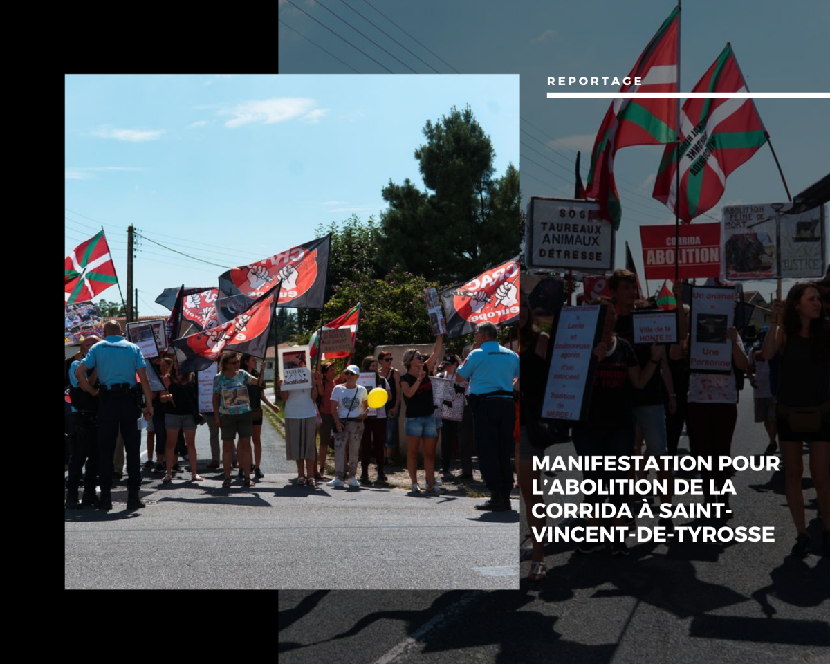 ✊ Manifestation pour l’Abolition de la Corrida : L’Engagement au Cœur de Tyrosse