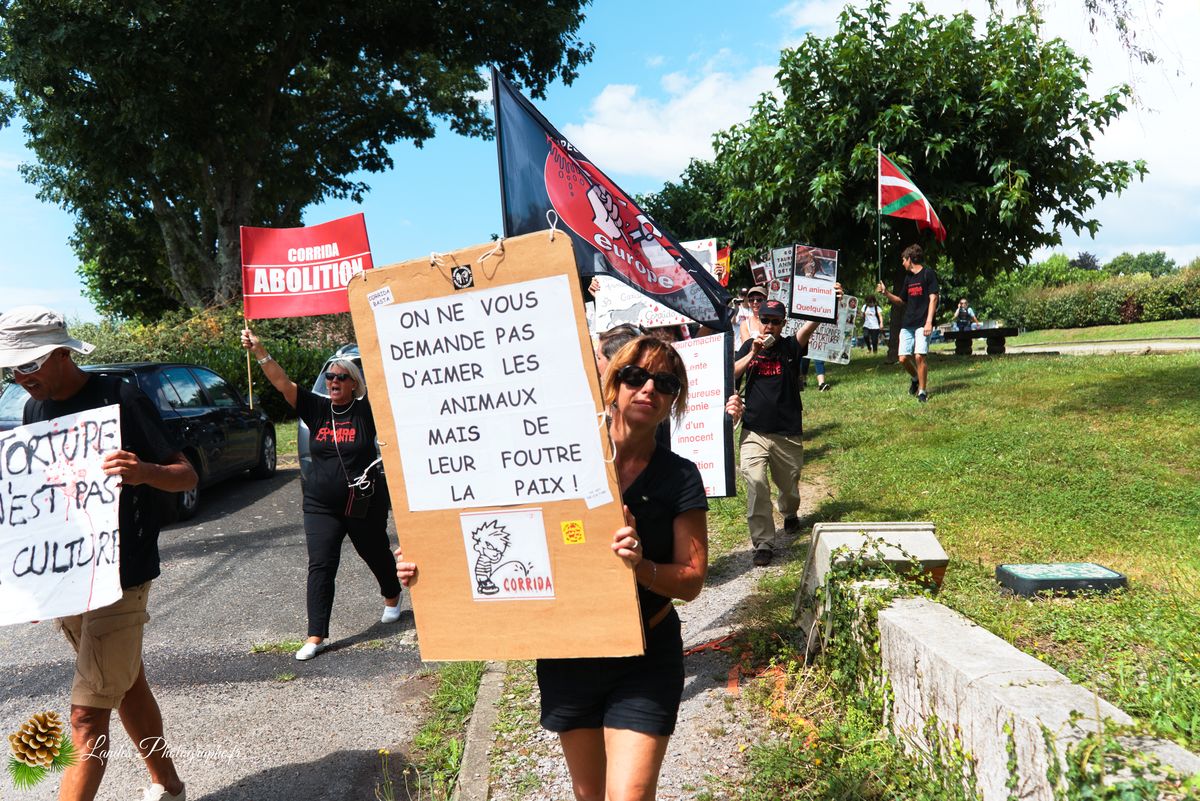 ✊ Manifestation pour l’Abolition de la Corrida : L’Engagement au Cœur de Tyrosse