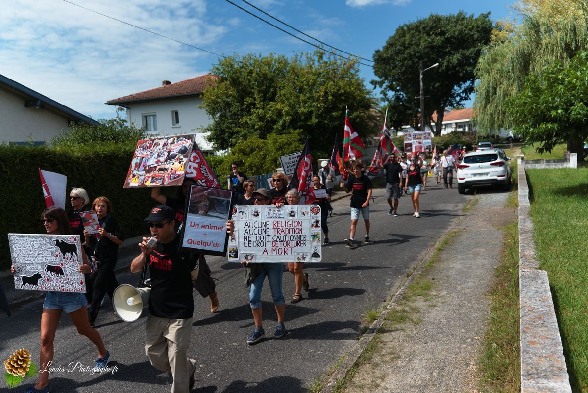 ✊ Manifestation pour l’Abolition de la Corrida : L’Engagement au Cœur de Tyrosse