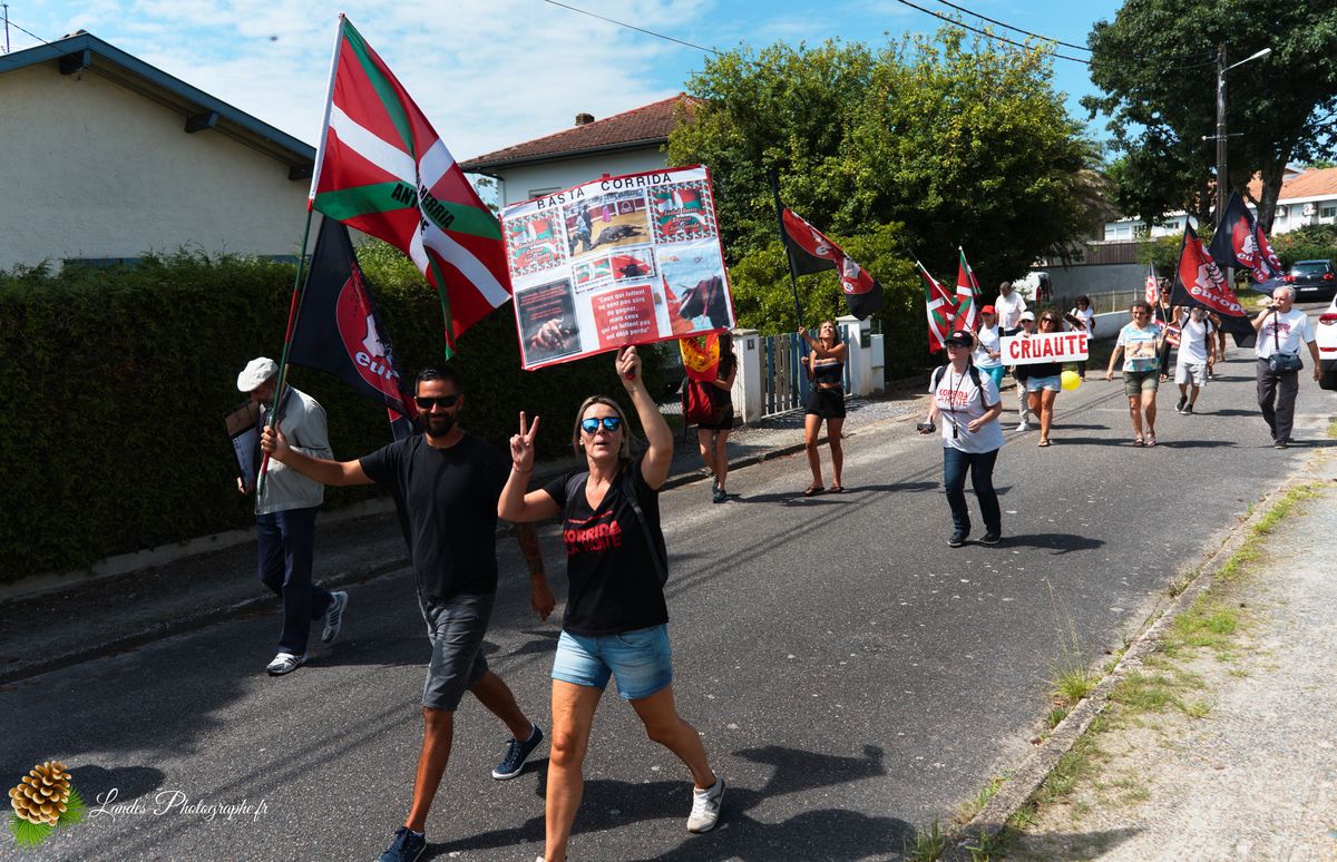 ✊ Manifestation pour l’Abolition de la Corrida : L’Engagement au Cœur de Tyrosse