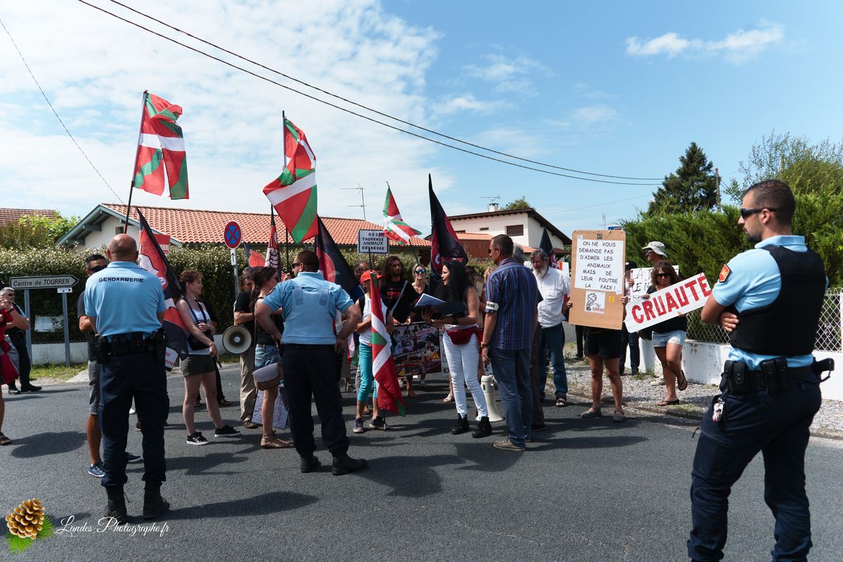 ✊ Manifestation pour l’Abolition de la Corrida : L’Engagement au Cœur de Tyrosse