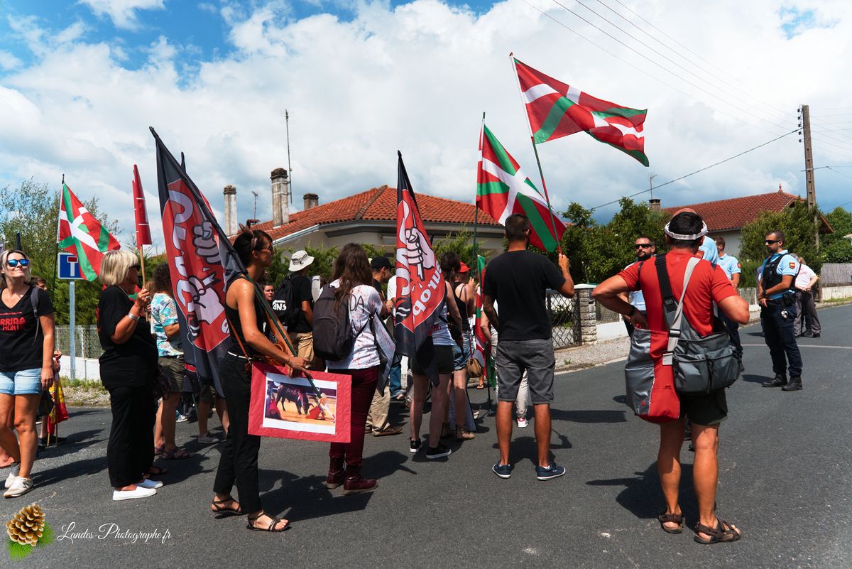 ✊ Manifestation pour l’Abolition de la Corrida : L’Engagement au Cœur de Tyrosse