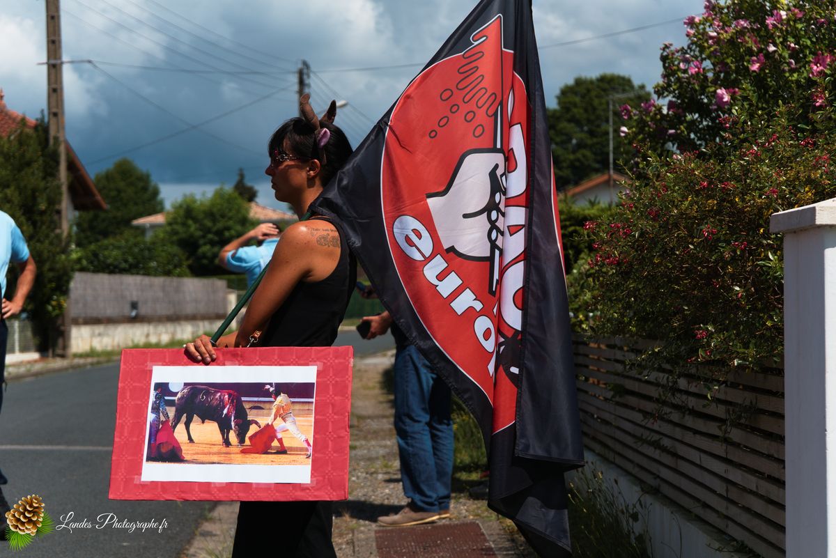 ✊ Manifestation pour l’Abolition de la Corrida : L’Engagement au Cœur de Tyrosse