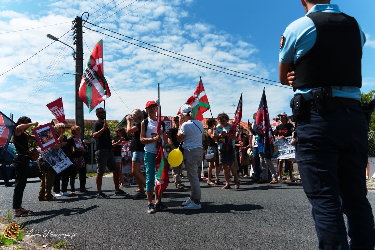 ✊ Manifestation pour l’Abolition de la Corrida : L’Engagement au Cœur de Tyrosse