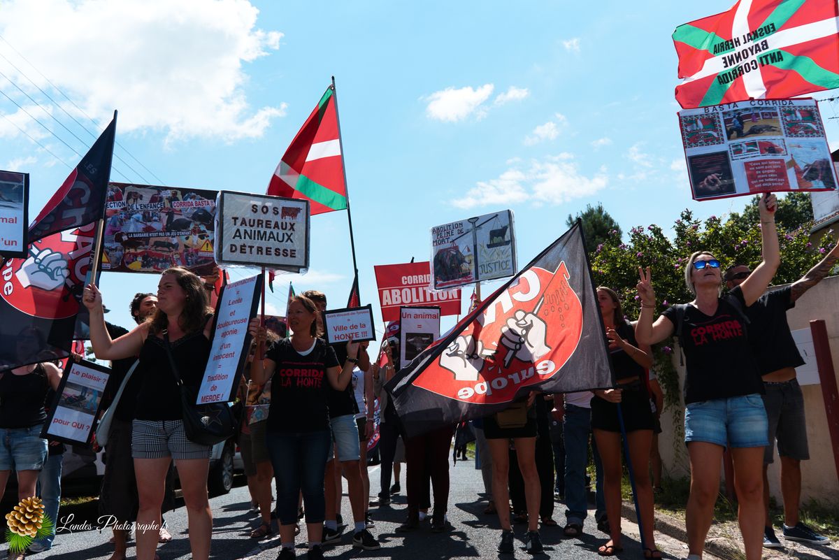 ✊ Manifestation pour l’Abolition de la Corrida : L’Engagement au Cœur de Tyrosse