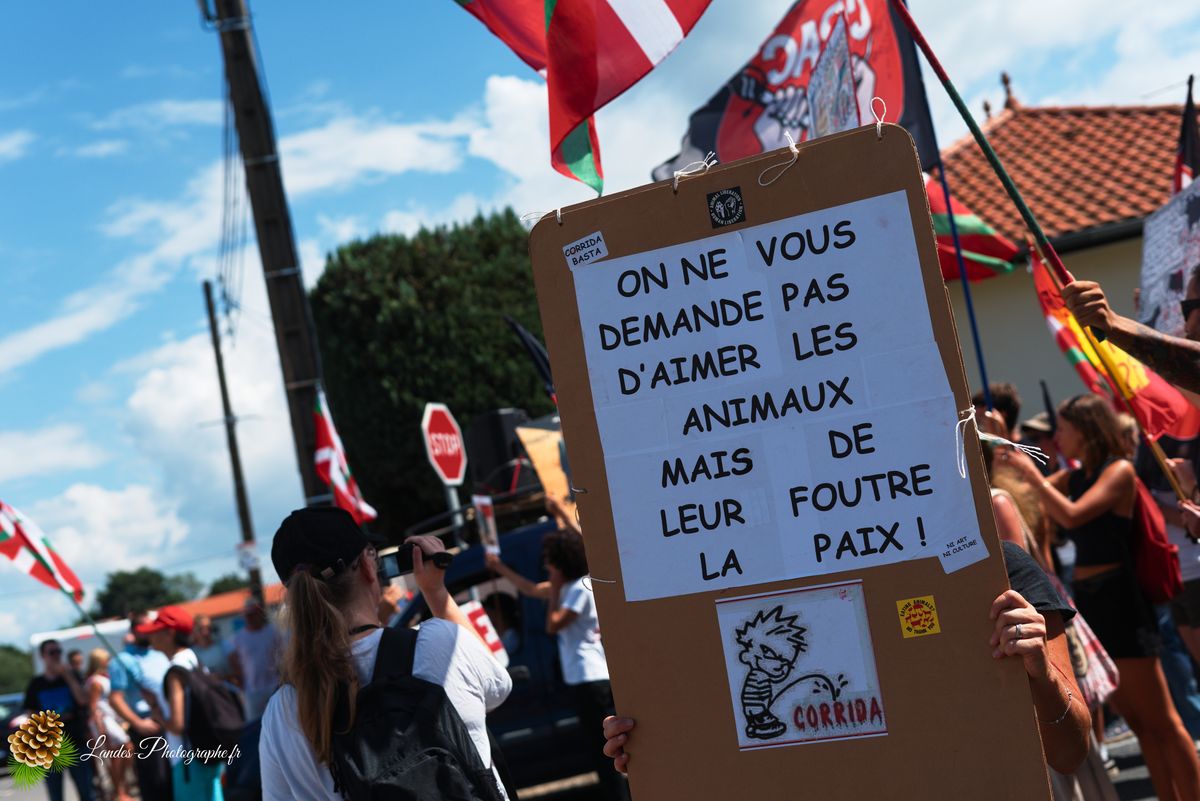 ✊ Manifestation pour l’Abolition de la Corrida : L’Engagement au Cœur de Tyrosse