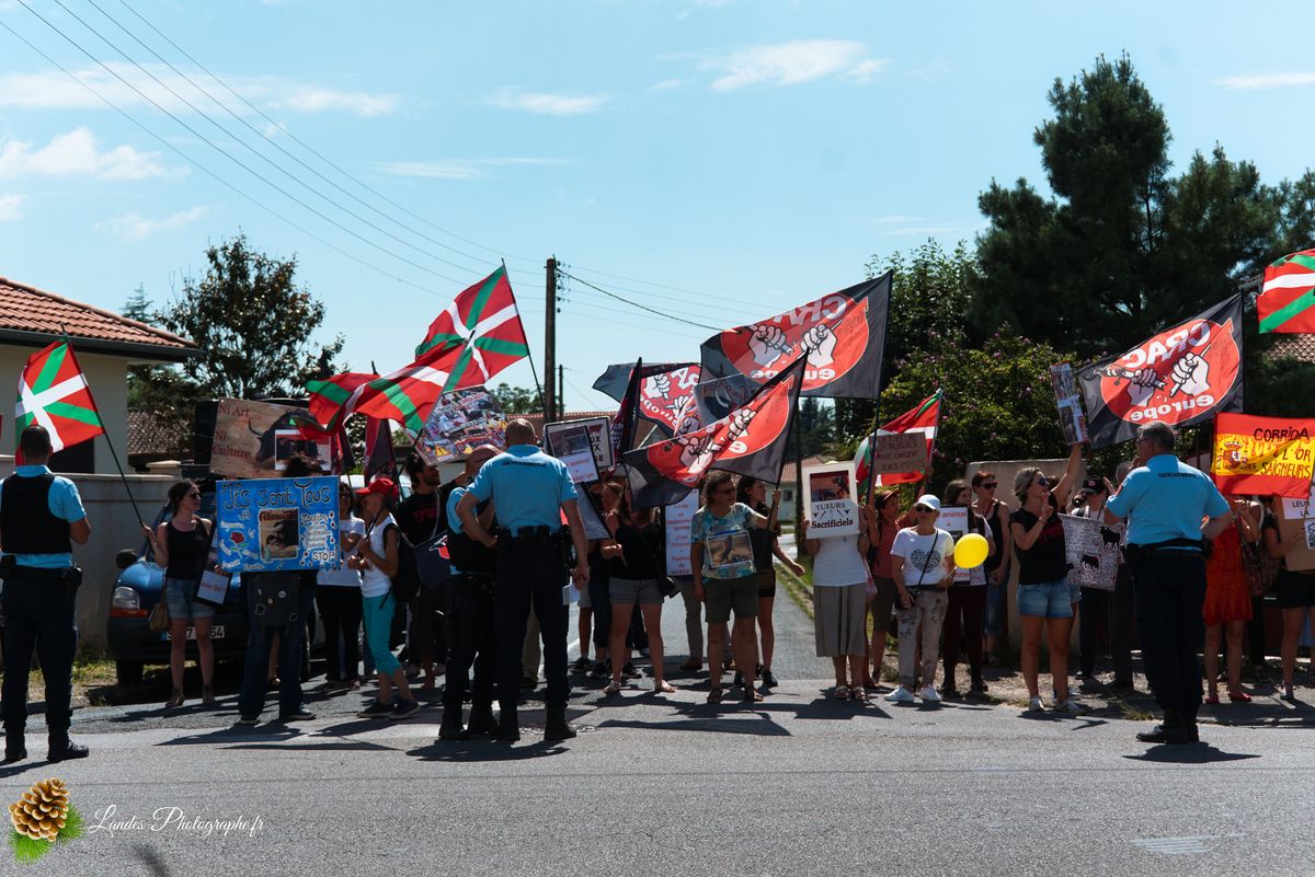 ✊ Manifestation pour l’Abolition de la Corrida : L’Engagement au Cœur de Tyrosse