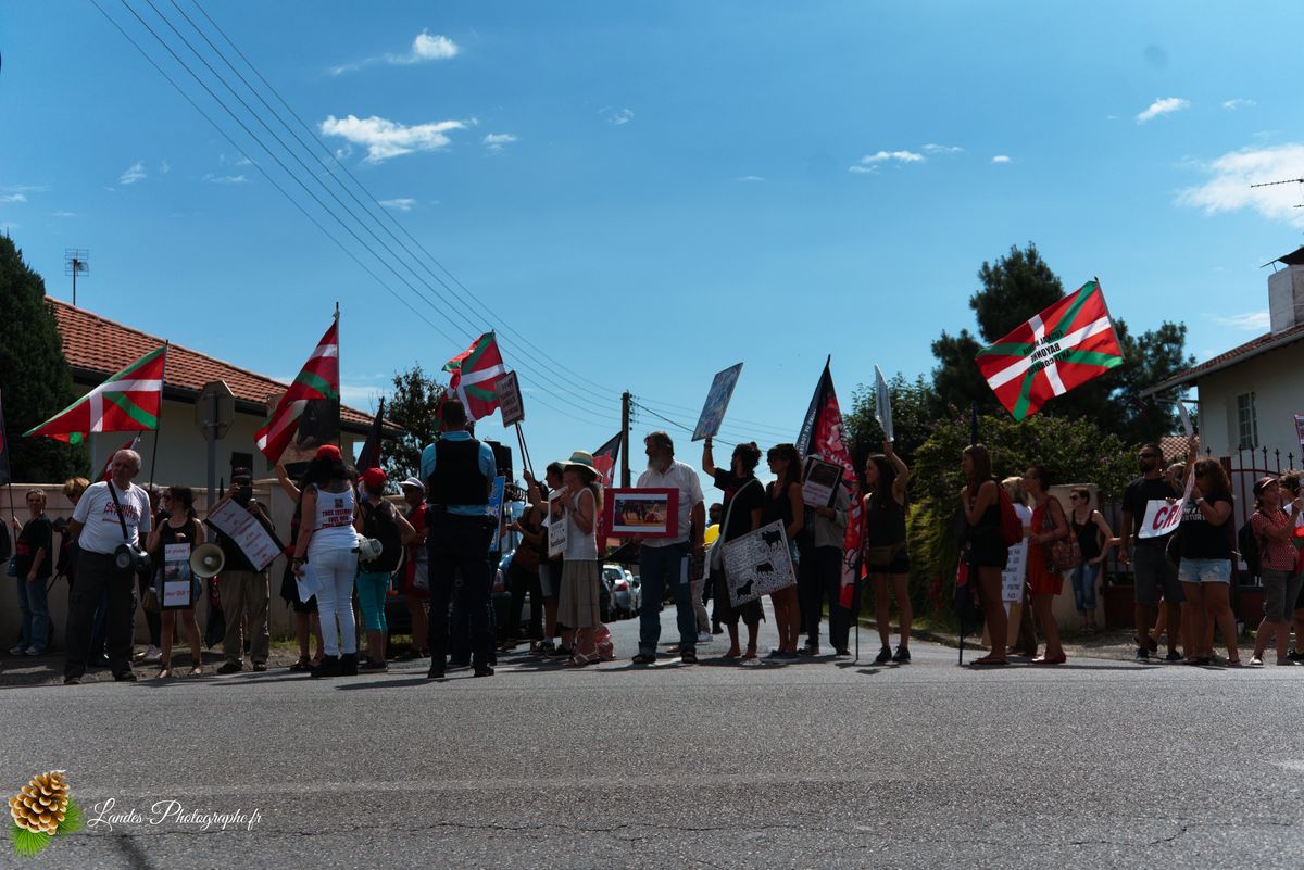 ✊ Manifestation pour l’Abolition de la Corrida : L’Engagement au Cœur de Tyrosse