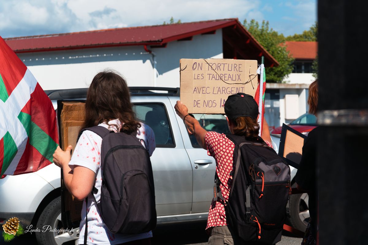 ✊ Manifestation pour l’Abolition de la Corrida : L’Engagement au Cœur de Tyrosse