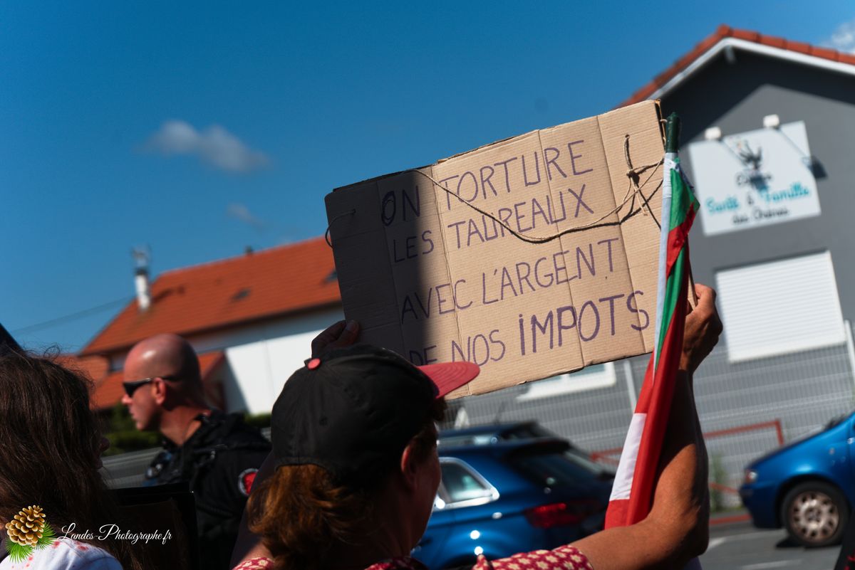 ✊ Manifestation pour l’Abolition de la Corrida : L’Engagement au Cœur de Tyrosse