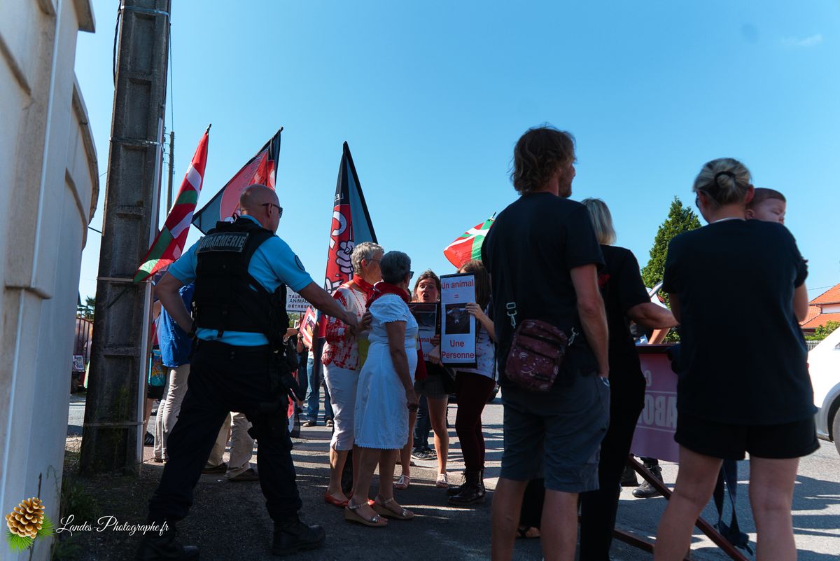 ✊ Manifestation pour l’Abolition de la Corrida : L’Engagement au Cœur de Tyrosse