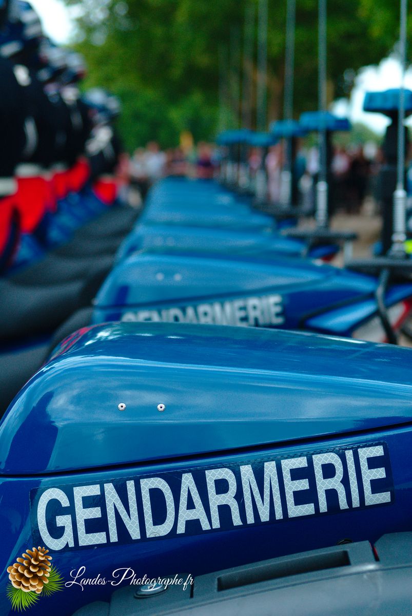 🇫🇷 Solennité Républicaine : Reportage de la Cérémonie du 14 Juillet à Bordeaux