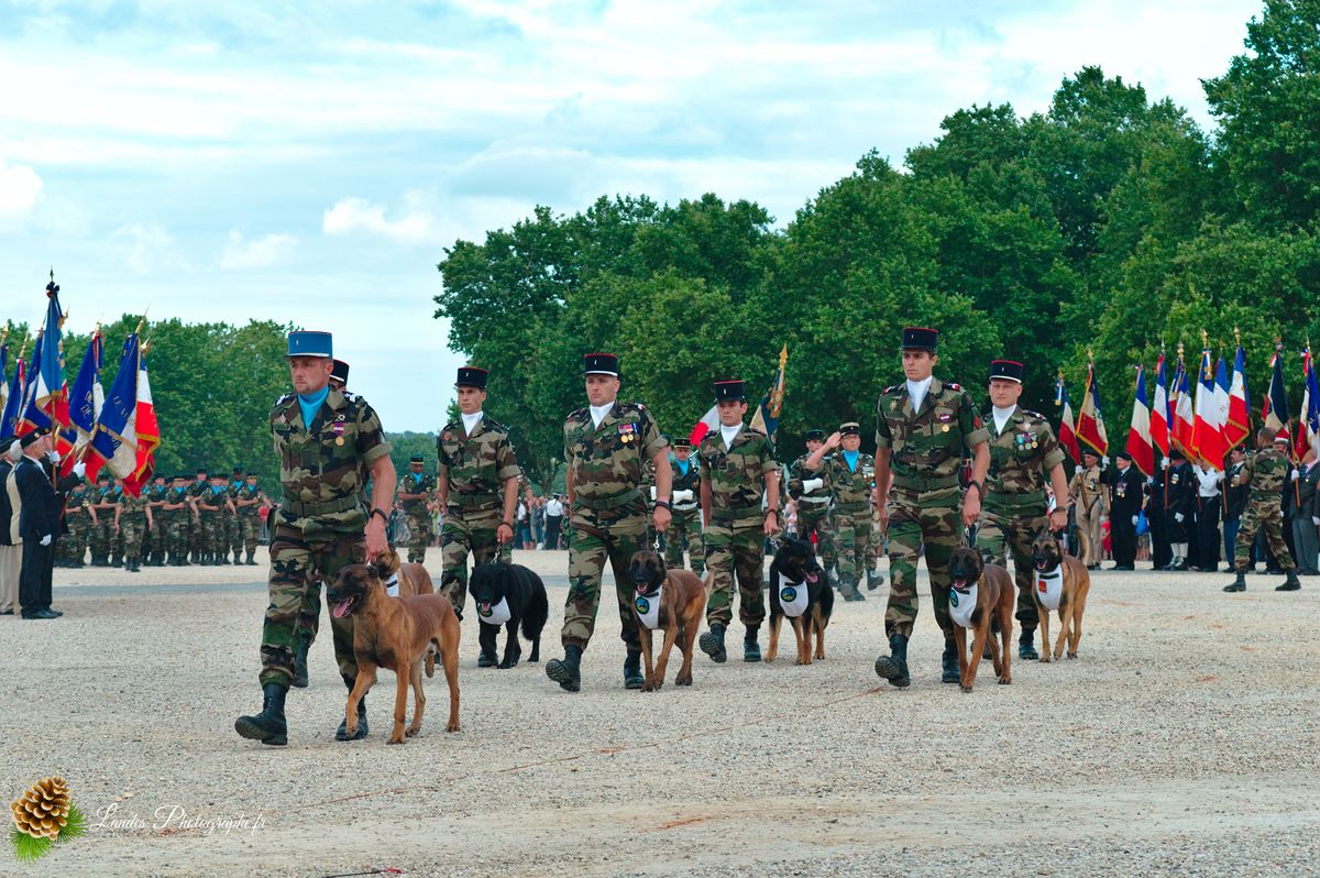 🇫🇷 Solennité Républicaine : Reportage de la Cérémonie du 14 Juillet à Bordeaux
